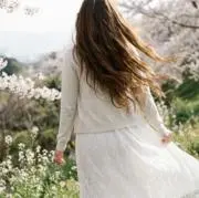 …sakura*…の画像