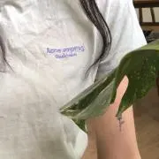 t8TTTの画像