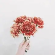 りりいの画像