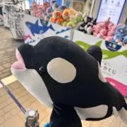 ニコニコアンダーソンの画像