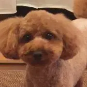 みーやん