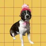 ukiの画像