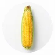 とうもろこしの画像