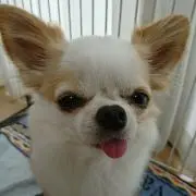 あー