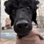 nabeの画像