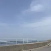 ぴょんの画像