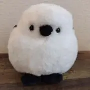 トミーさんの画像