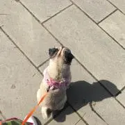 ともみ