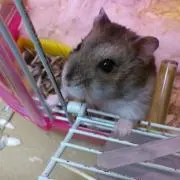 やまも 断捨離中