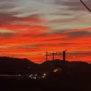 SAKANAの画像