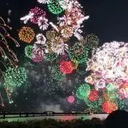 涼の画像