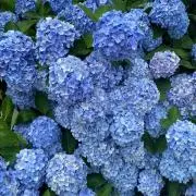 Nの画像