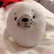 gomaの画像