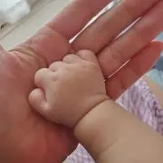 ホボエルの画像