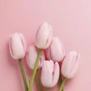 やまー☆の画像