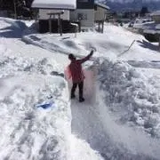 みっきー