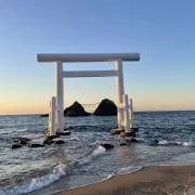 クーの画像