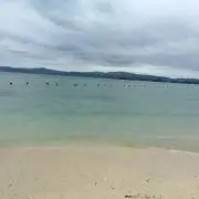 marimoの画像