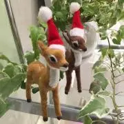 ソラン