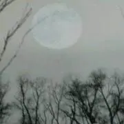 にっくの画像