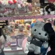 げんげんの画像