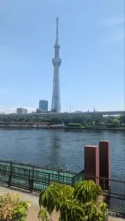 ミート