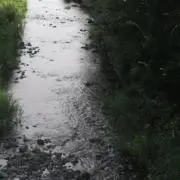 sの画像