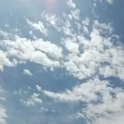 こっとんの画像
