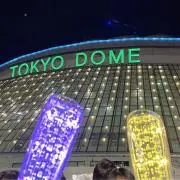 めたまるの画像