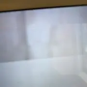 ふにの画像