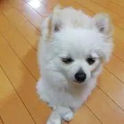 おかんです。の画像