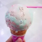 ちょこの画像