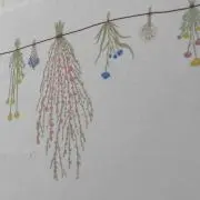 ノン★☆の画像