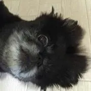 ナナリン