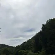 りんごちゃんこの画像