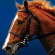 Orfevre