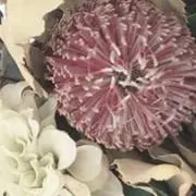 Chinatsu