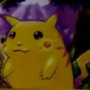 アメショー