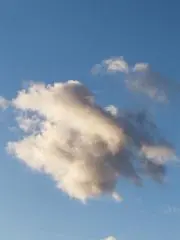 TOMOの画像