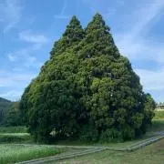 A-YA☆の画像