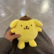 ぽむ