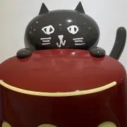 真子の画像