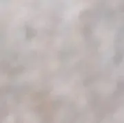 ss
