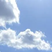 paoの画像