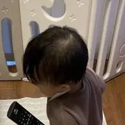 ハナミズキの画像