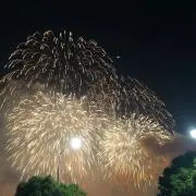 たまごの画像