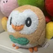 Sの画像