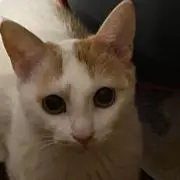 るんるんの画像