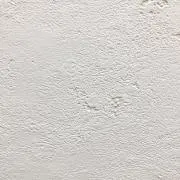 ぴよの画像