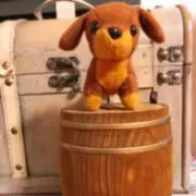 サッキーの画像